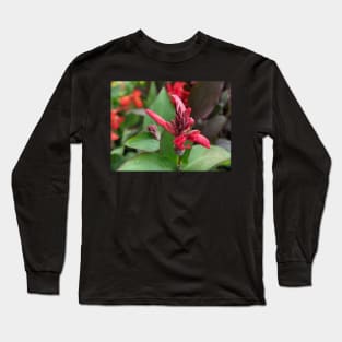 Pink Flower Blooming in Large Leaves Long Sleeve T-Shirt